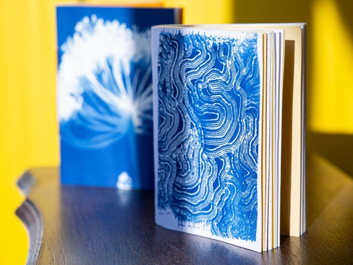 Atelier Papier - Cyanotype à Grenoble – 3h