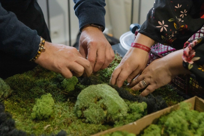 Atelier Végétal - Composition fleurs séchées à Wasquehal – 2h