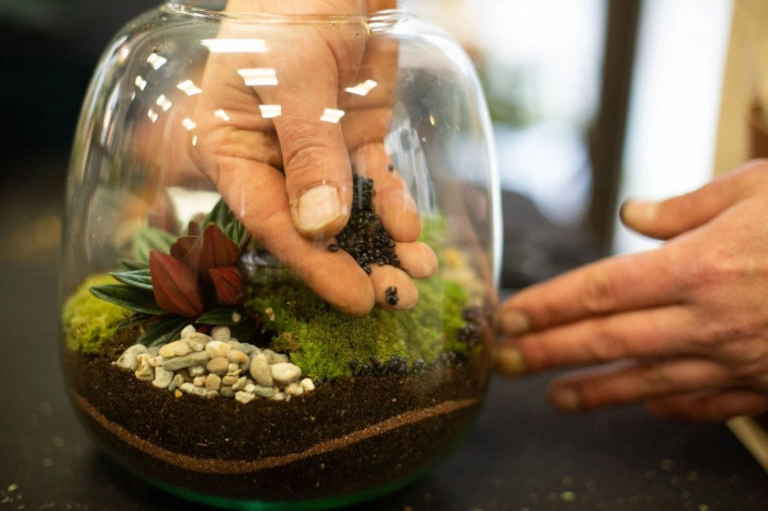 Atelier Végétal - Composition de terrarium à Issoire – 2h