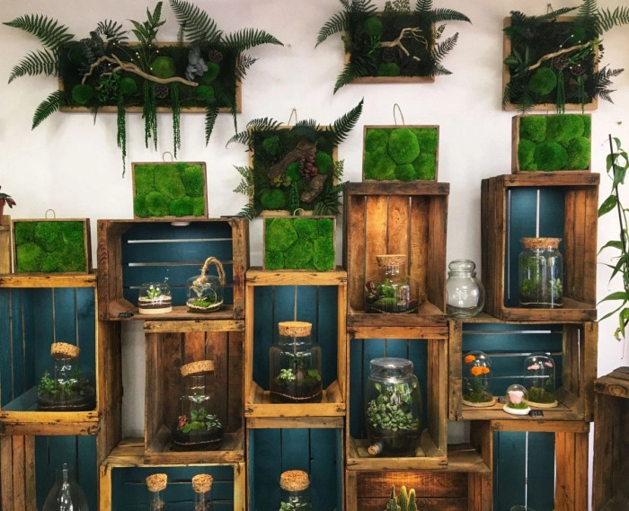 Atelier Végétal - Composition de terrarium à Issoire – 2h