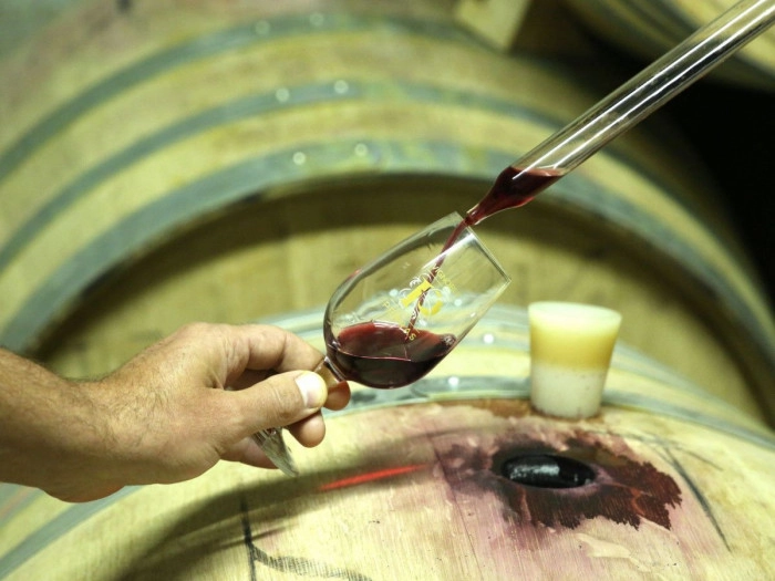 Atelier À boire - Vinification/Viticulture/Oenologie à Saint-Germain-Nuelles – 2h