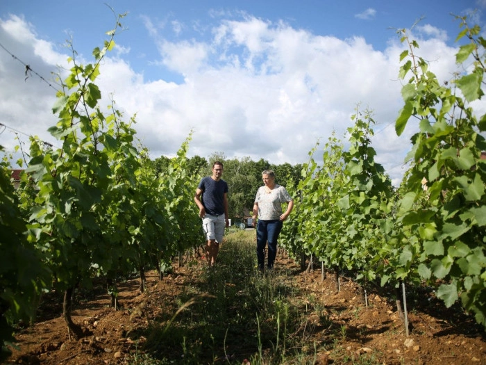 Atelier À boire - Vinification/Viticulture/Oenologie à Saint-Germain-Nuelles – 2h