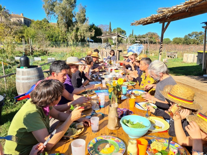 Atelier Agriculture - Cueillette botanique/Maraîchage à Montpellier – 8h