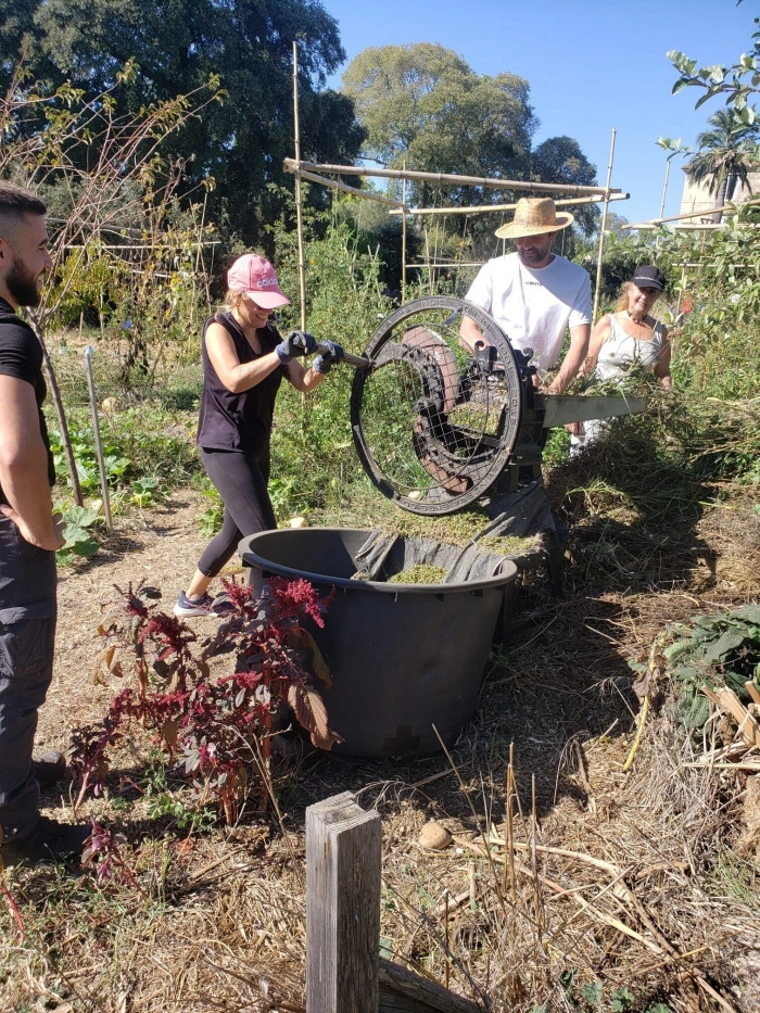 Atelier Agriculture - Cueillette botanique/Maraîchage à Montpellier – 8h