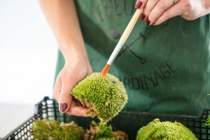 Atelier Végétal - Composition fleurs/plantes fraîches à Wambrechies – 2h