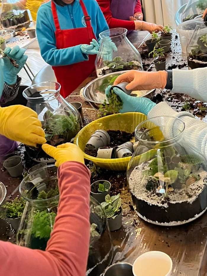 Atelier Végétal - Composition de terrarium à Paris – 1h