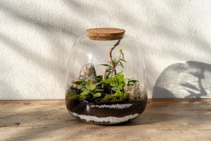 Atelier Végétal - Composition de terrarium à Rezé – 1h