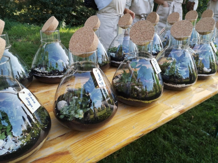 Atelier Végétal - Composition de terrarium à Paris – 1h