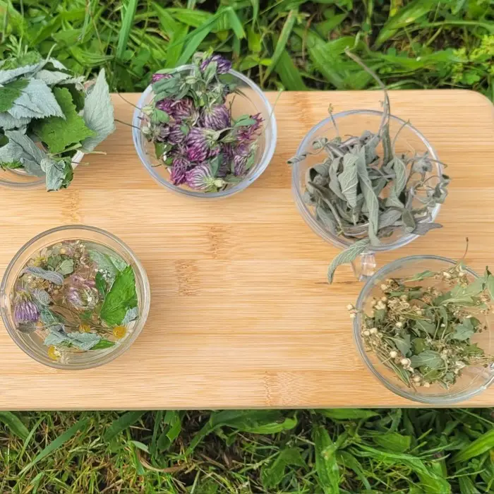 Mon Savoureux Jardin