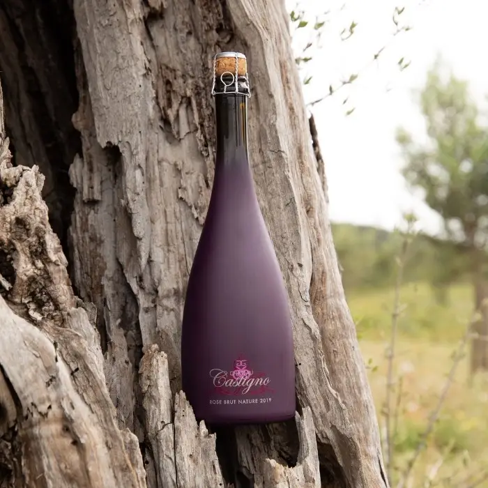 Château & Village Castigno