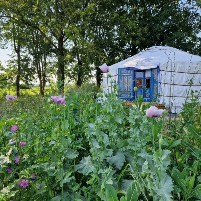 L'Etang Présent 