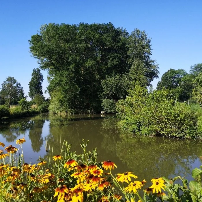 L'Etang Présent 