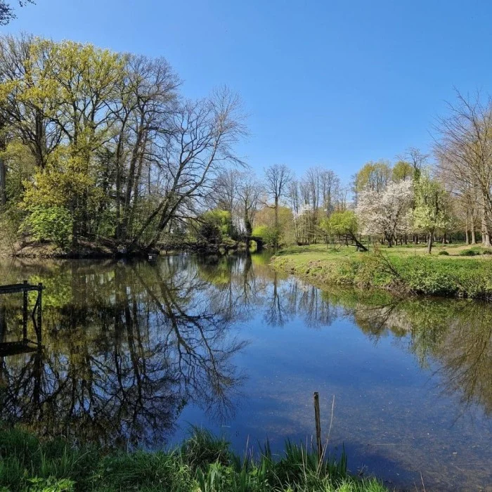 L'Etang Présent 
