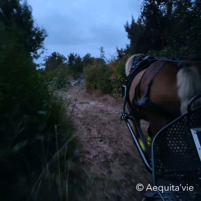 Aequita'Vie