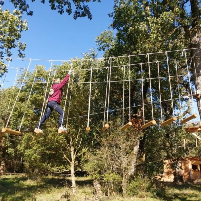La canopée Dentelée 