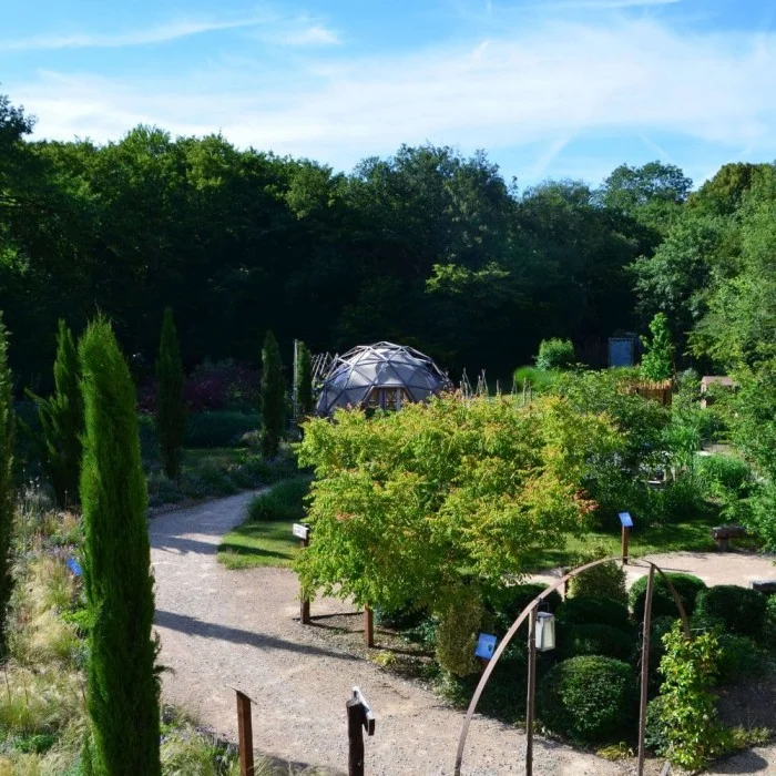  Ô Pays Des Bois