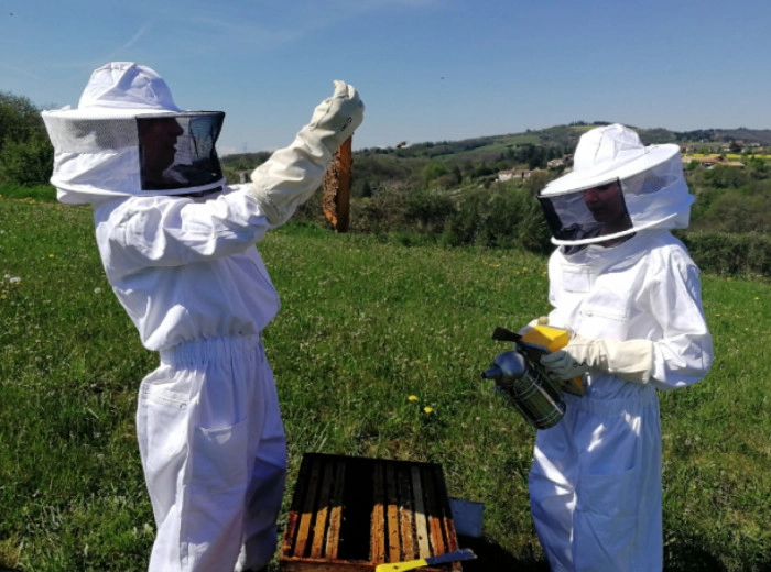 Atelier Agriculture - Apiculture à Trèves – 3h