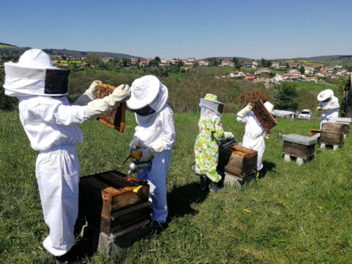 Atelier Agriculture - Apiculture à Trèves – 3h