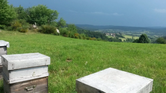 Atelier Agriculture - Apiculture à Trèves – 3h