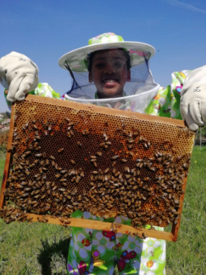 Atelier Agriculture - Apiculture à Trèves – 3h