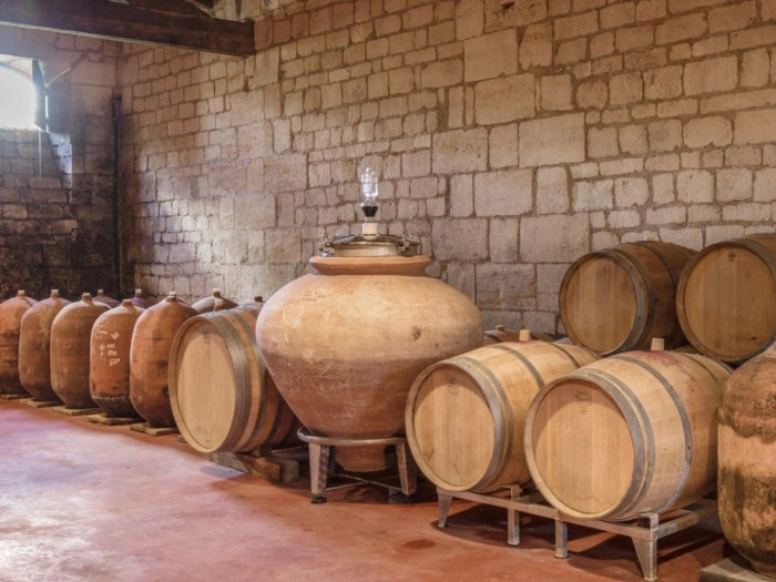 Atelier À boire - Viticulture/Oenologie/Vinification à Saint-Germain-de-la-Rivière – 5h