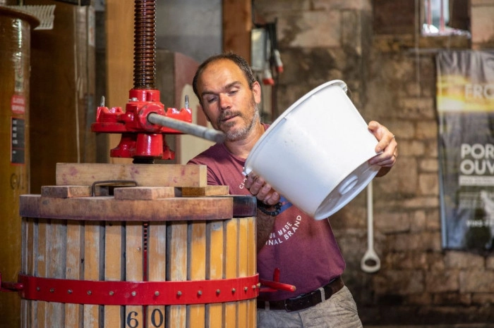 Atelier À boire - Viticulture/Oenologie/Vinification à Saint-Germain-de-la-Rivière – 5h