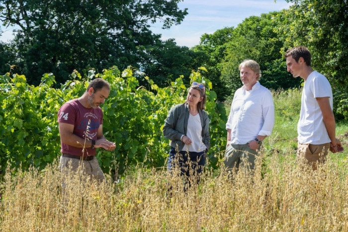 Atelier À boire - Viticulture/Oenologie/Vinification à Saint-Germain-de-la-Rivière – 5h