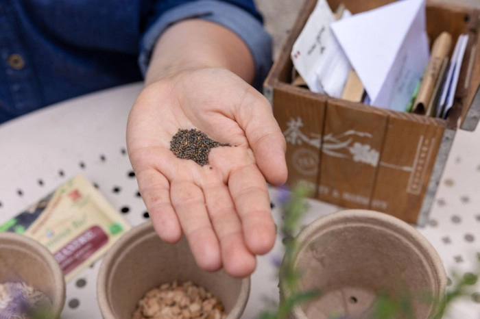 Atelier Agriculture - Maraîchage à Paris – 2h
