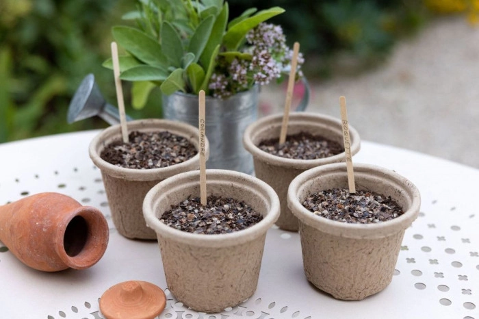 Atelier Agriculture - Maraîchage à Paris – 2h