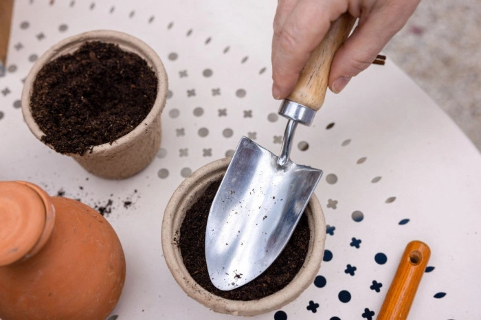 Atelier Agriculture - Maraîchage à Paris – 2h