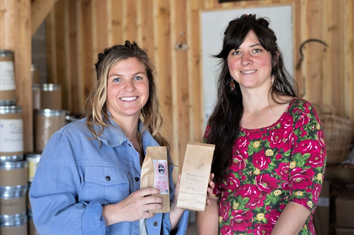 Atelier Cosmétique et bien-être - Cueillette botanique/Composition de thés et infusions à Bidarray – 3h