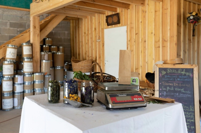 Atelier Cosmétique et bien-être - Cueillette botanique/Composition de thés et infusions à Bidarray – 3h