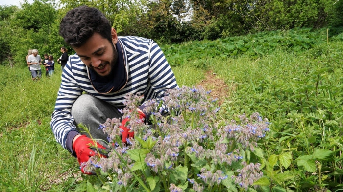 Atelier À manger - Cuisine/Cueillette botanique/Cuisine végétale à Reventin-Vaugris – 6h