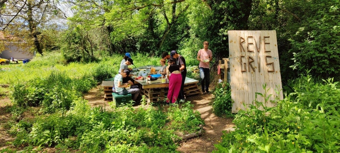Atelier À manger - Cuisine/Cueillette botanique/Cuisine végétale à Reventin-Vaugris – 6h