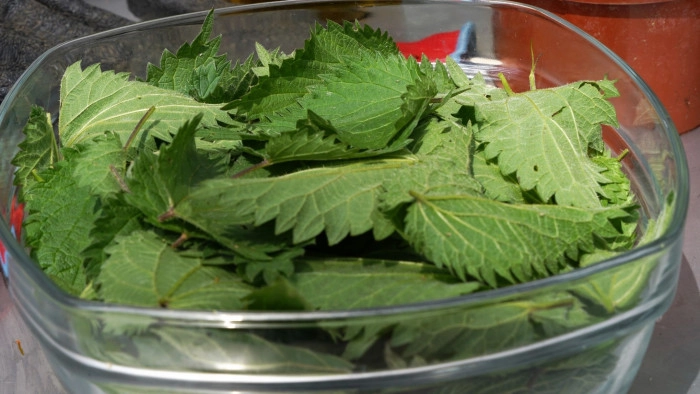 Atelier À manger - Cuisine/Cueillette botanique/Cuisine végétale à Reventin-Vaugris – 6h