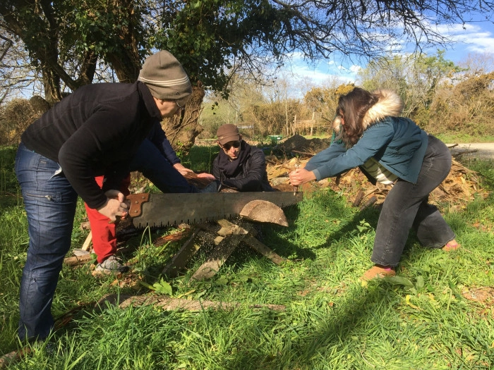 Atelier Bois - Sculpture/Menuiserie et Ebenisterie à Locoal-Mendon – 3h