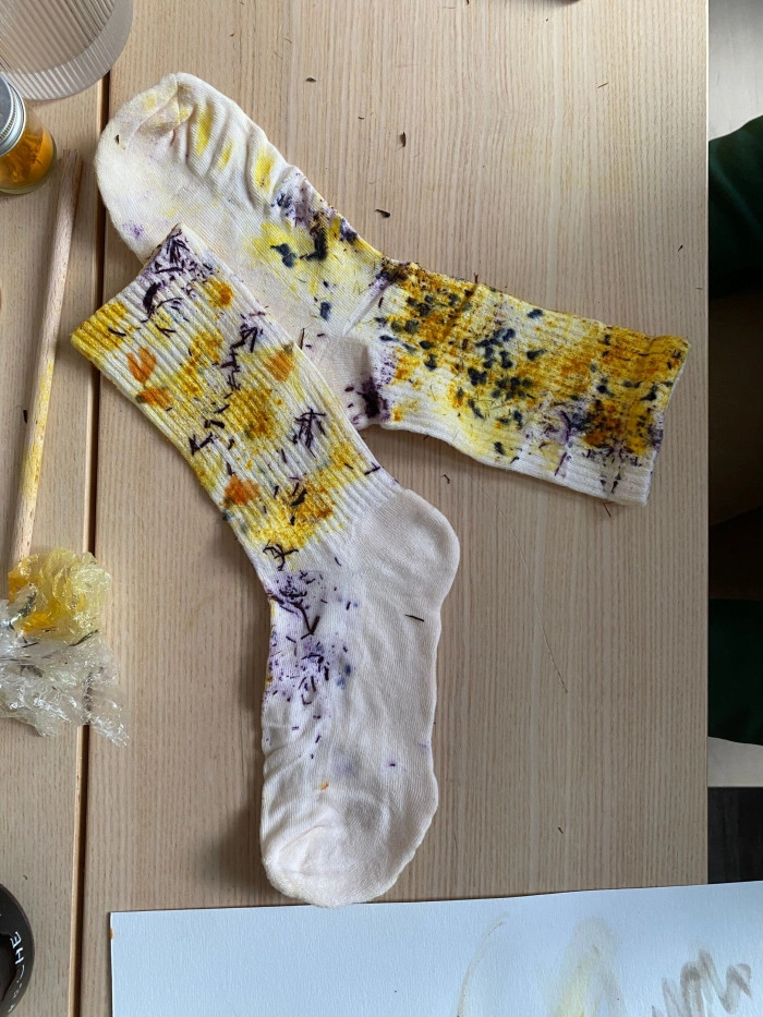 Atelier Textile - Teinture végétale à Caen – 2h