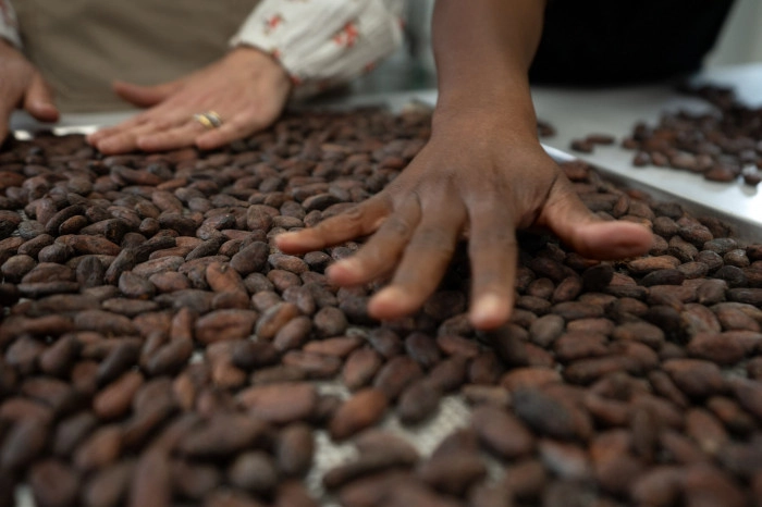 Atelier À manger - Chocolaterie et confiserie à Nantes – 2h