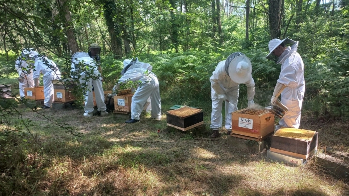 Atelier Agriculture - Apiculture à Vivy – 3h