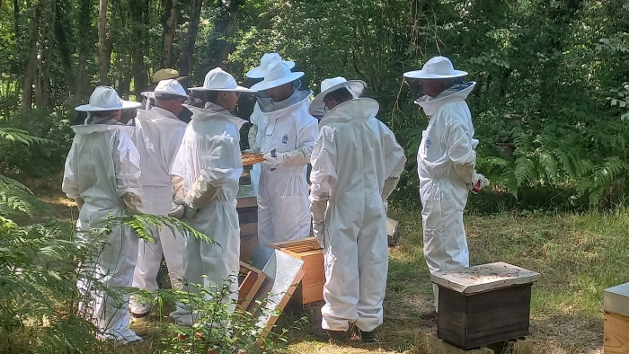 Atelier Agriculture - Apiculture à Vivy – 3h