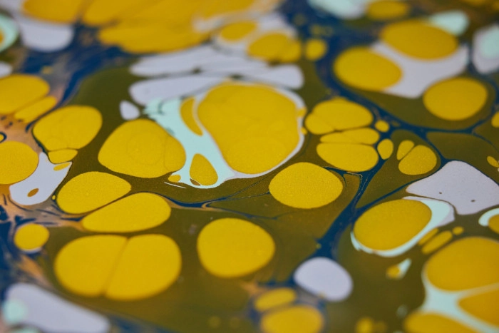 Atelier Papier - Marbrure/Reliure/Sérigraphie papier à Paris – 2h