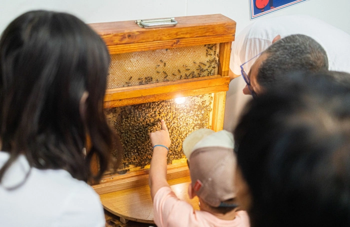 Atelier Agriculture - Apiculture à Val-de-Reuil – 3h