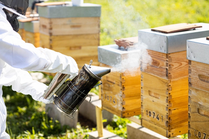Atelier Agriculture - Apiculture à Val-de-Reuil – 3h