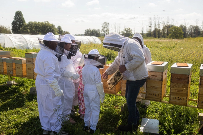 Atelier Agriculture - Apiculture à Val-de-Reuil – 3h