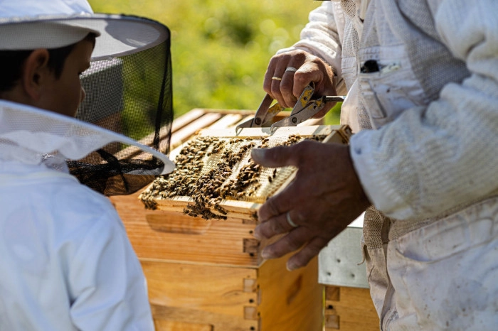 Atelier Agriculture - Apiculture à Val-de-Reuil – 3h