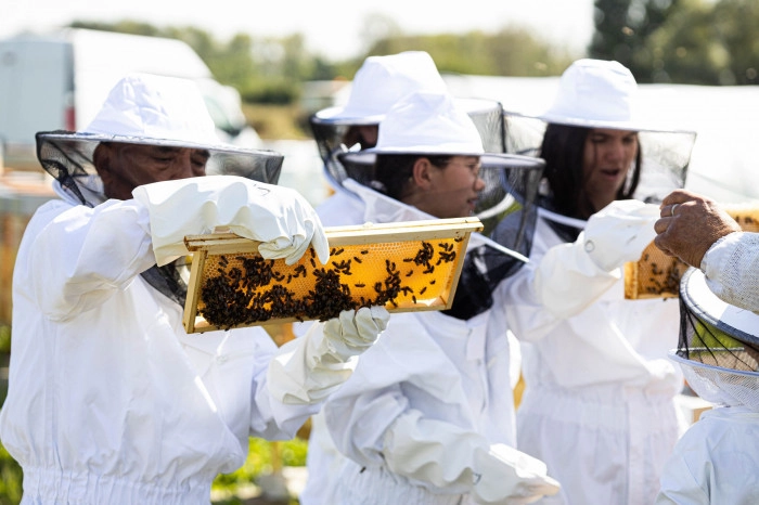 Atelier Agriculture - Apiculture à Val-de-Reuil – 3h