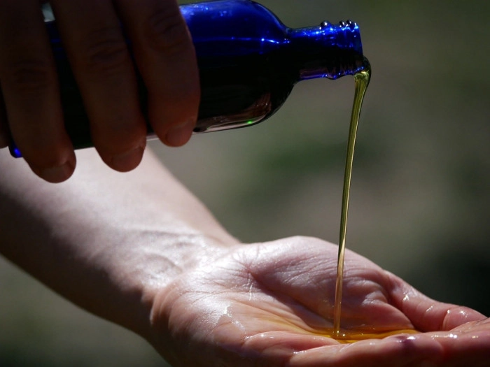 Atelier Cosmétique et bien-être - Fabrication de crèmes et soins/Cueillette botanique à Châteauneuf-sur-Loire – 2h