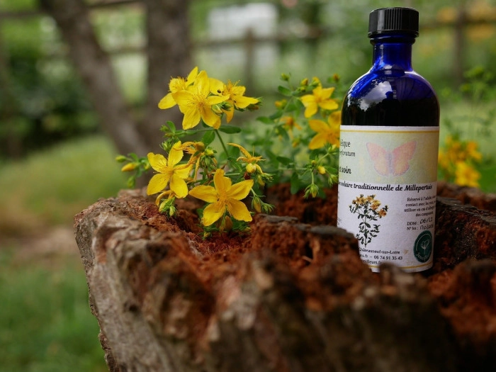 Atelier Cosmétique et bien-être - Fabrication de crèmes et soins/Cueillette botanique à Châteauneuf-sur-Loire – 2h