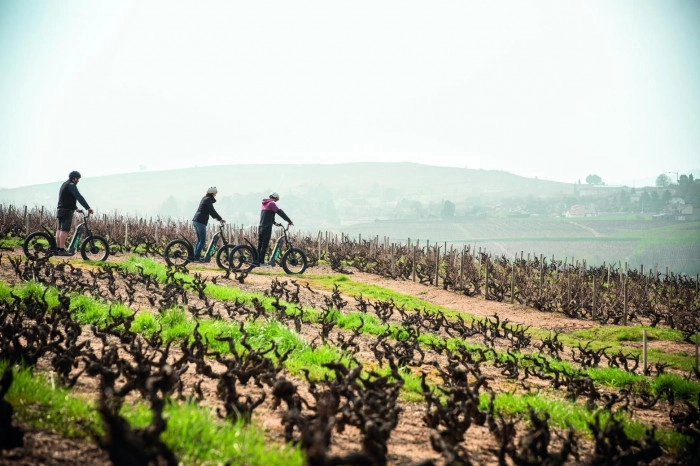 Atelier À boire - Viticulture/Oenologie à Chiroubles – 3h
