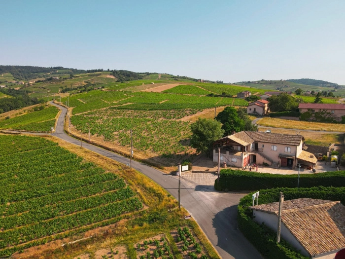 Atelier À boire - Viticulture/Oenologie à Chiroubles – 3h